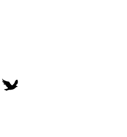Birds flying across screen.