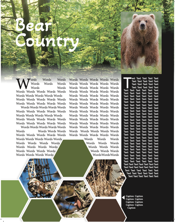 bear contry poster