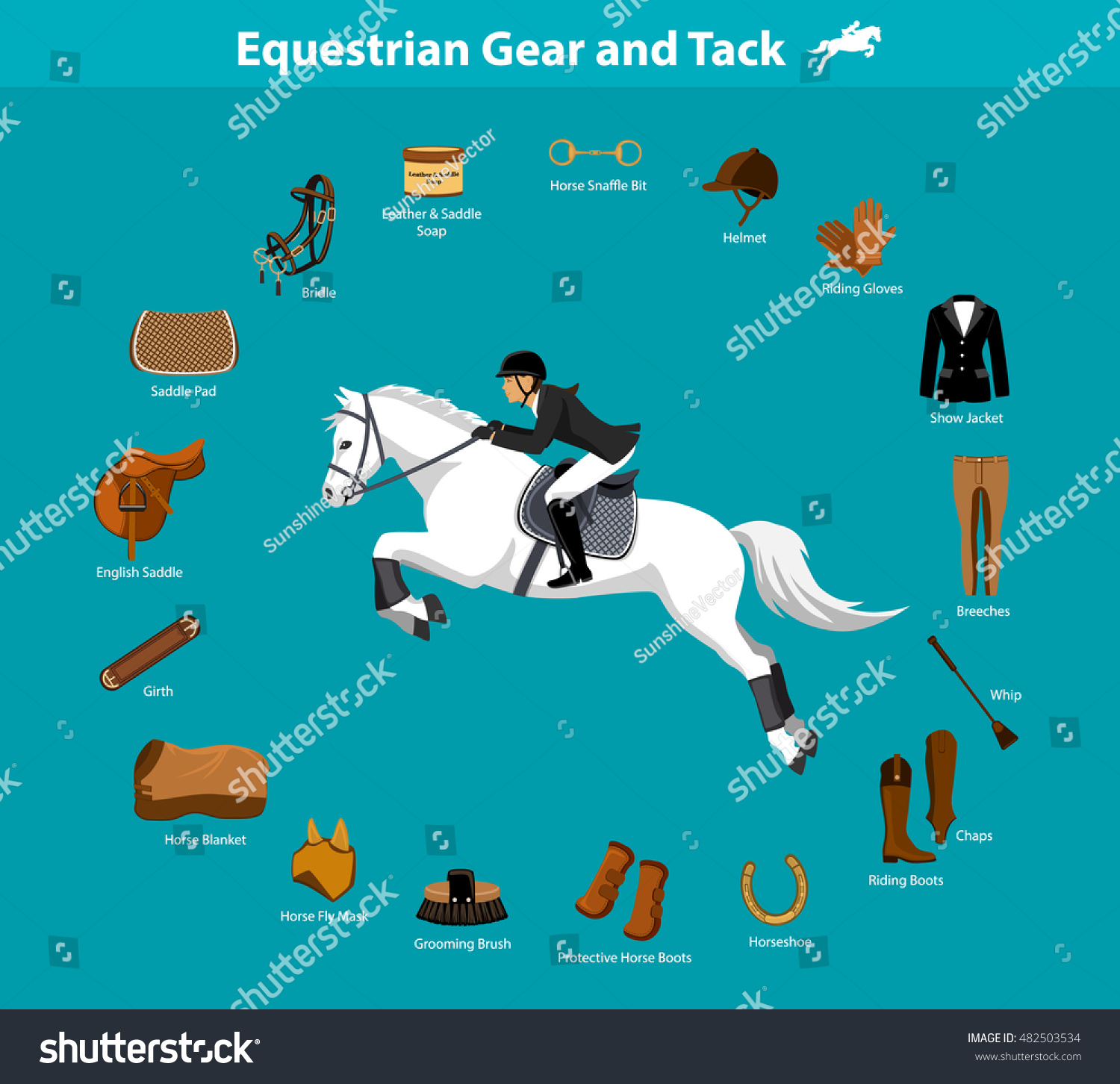 the things you will need for horseback riding but some or mainly for show and not someting a basic rider will need