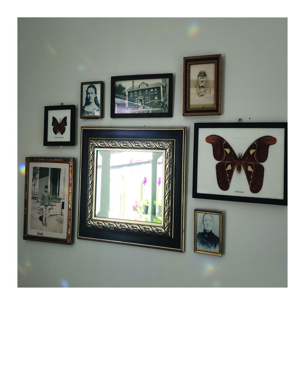gallery wall
